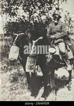 1914-1918. Erster Weltkrieg Dieses Porträt zeigt einen deutschen Kavalleriesoldaten und zwei Pferde, die Gasmasken tragen. Stockfoto