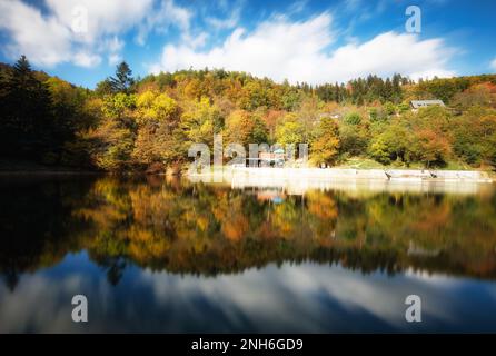 See mit Herbstwaldspiegelung im Wasser, Slowakei - Tajch Klinger Stockfoto