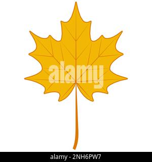 Herbsttrockenes Ahornblatt, Symbol Kanada Ahornblatt Herbstfall gefallenes Blatt Stock Vektor