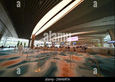 Renovierte Check-in-Schalter in der Abflughalle, Terminal 2, Flughafen Singapur Changi, Februar 2023 Stockfoto