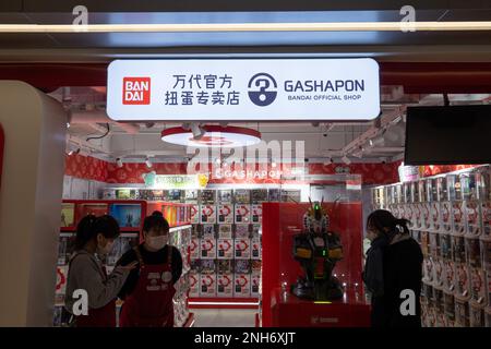 SHANGHAI, CHINA - 21. FEBRUAR 2023 - Ein allgemeiner Überblick über den 2-dimensionalen IP-Speicher in Shanghai, China, 21. Februar 2023. Bailian ZX kreatives Interesse Stockfoto