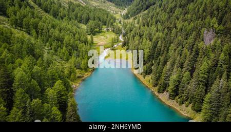 Pian Palù mit seinem unverwechselbaren smaragdfarbenen Wasser, Sole Valley, Trient Provinz, Stelvio Nationalpark, Trentino Alto Adige, Norditalien Stockfoto