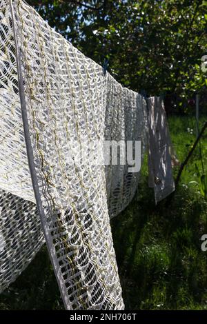 Nach dem Waschen im Freien trocknet es bei sonnigen und windigen Wetterbedingungen im Sommer Stockfoto