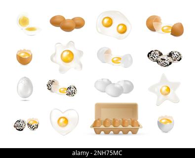 Große realistische Vektordarstellung isolierter roher und gekochter Hühner- und Wachteleier Stock Vektor