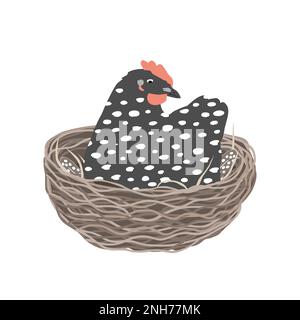 Süße, verhätschelte Henne, die im Nest sitzt. Vektordarstellung isoliert auf weißem Hintergrund Stock Vektor