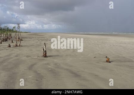 Wunderschöner weißer Sandstrand von henrys Insel in der Nähe von Bakkhali, in der Nähe der sundarbans in westbengalen, indien Stockfoto