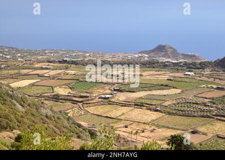 Panoramablick mit bewirtschafteten Feldern und Scauri-Dorf im Hintergrund, Pantelleria Stockfoto