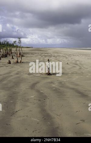 Wunderschöner weißer Sandstrand von henrys Insel in der Nähe von Bakkhali, in der Nähe der sundarbans in westbengalen, indien Stockfoto