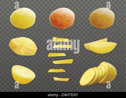 Kartoffeln realistisches Set mit Einzelbildern reifer junger Kartoffeln ohne Schale und Stäbchen Vektordarstellung der Scheiben Stock Vektor