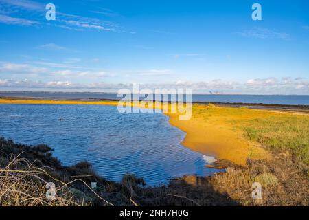 Von der Spitze des Naze Essex aus blickt man nach Norden in Richtung Harwich und Felixstowe Stockfoto