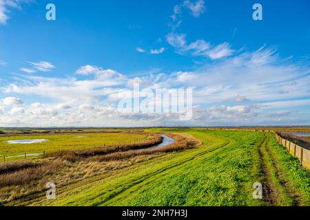 Die Mauer am Meer und das Ackerland am Naze. Walton auf der Naze, Essex Stockfoto