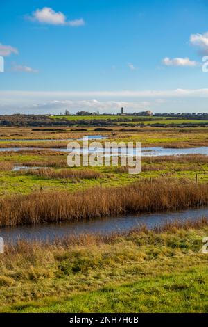 Die Mauer am Meer und das Ackerland am Naze. Walton auf der Naze, Essex Stockfoto