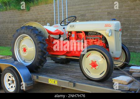 Der Ford 8N-Traktor aus dem Jahr 1950 wurde in St. Croix Falls, Wisconsin, USA. Stockfoto