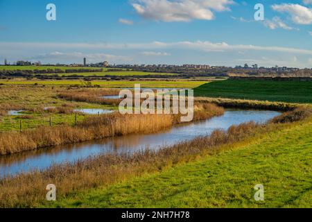 Die Mauer am Meer und das Ackerland am Naze. Walton auf der Naze, Essex Stockfoto