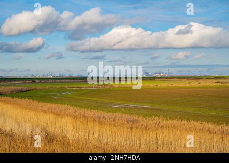 Von der Spitze des Naze Essex aus blickt man nach Norden in Richtung Harwich und Felixstowe Stockfoto