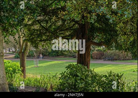 Eine Person sitzt auf einer Bank in einem Stadtpark. Bäume und Sträucher befinden sich im Vordergrund und im Hintergrund gibt es einen Blick auf einen Fluss. Stockfoto