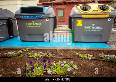 Mülltonnen, Santa Cruz de Teneriffa, Kanarische Inseln, Spanien, Tourismus, Wintersonne, Sehenswürdigkeiten, mit Blumen im Vordergrund Stockfoto