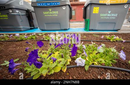 Mülltonnen, Santa Cruz de Teneriffa, Kanarische Inseln, Spanien, Tourismus, Wintersonne, Sehenswürdigkeiten, mit Blumen im Vordergrund Stockfoto