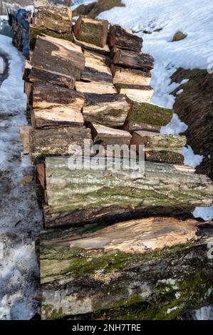 Carpinus betulus, Europäischer oder gemeiner Hornbalken. Feuerholz gefaltet, um im Hof zu trocknen. Stockfoto