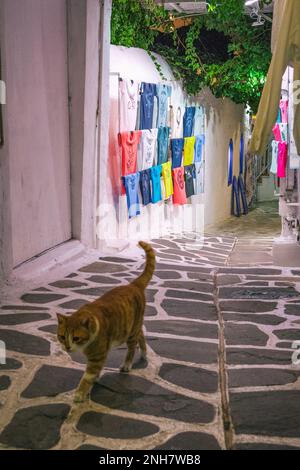 Charakteristische Gasse mit touristischen Basaren in der Altstadt von Naxos, Griechenland Stockfoto