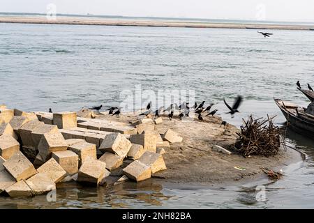 Gray Cement Cinder Block isoliert am Fluss. Granit ist kräftiger vor dem Fluss. Ein Stapel von vier quadratischen Betonblöcken hintereinander. Waghalsiger Stockfoto