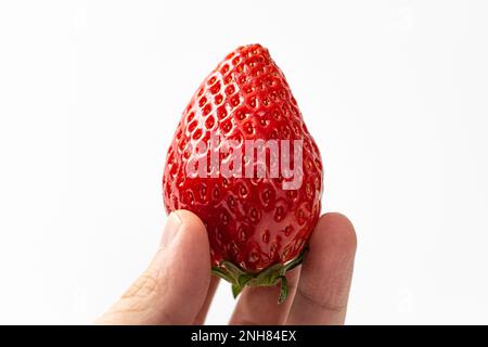 Koreanische Esskultur. Eine Auswahl an Erdbeeren. Große, Süße Erdbeeren Stockfoto