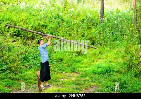 Der Mann in der breiten Hose, der Yoga macht, dreht den großen Stock im Wald auf dem Gras. Stockfoto