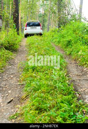 Die Marke „Honda HR-V“ fährt auf einer Waldstraße im Altai Stockfoto