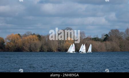 Alton Water (Alton Reservoir) an einem sonnigen Tag im Februar. Warme Farben von Bäumen, blauer Himmel. Weiße Segelboote auf dem Wasser. Stockfoto