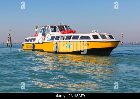 Alilaguna Boot, Wasserboot Transport zwischen dem Flughafen und Venedig, in Venedig, Italien im Februar Stockfoto