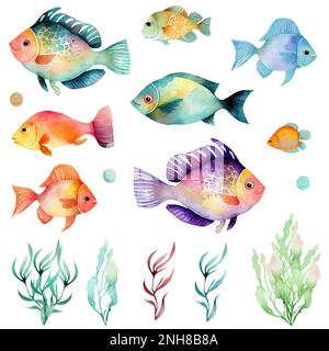 Aquarell-Fischset. Flammenangelfisch, Kupferband Butterflyfish, Purple Mask Engelfisch, Zebra Engelfisch, Blue Tang, Betta splendens, Löwe, Gelb ta Stockfoto