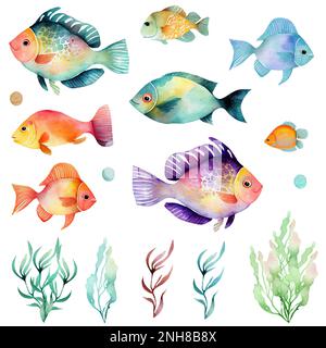 Aquarell-Fischset. Flammenangelfisch, Kupferband Butterflyfish, Purple Mask Engelfisch, Zebra Engelfisch, Blue Tang, Betta splendens, Löwe, Gelb ta Stockfoto