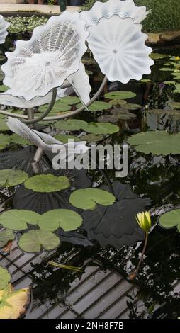 Dale Chihuly's White Persian Pond Skulptur im Waterlily House in Kew Gardens, Richmond, England, Großbritannien Stockfoto