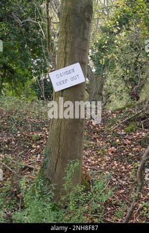 Das Schild mit dem Hinweis auf Gefahr ist an einen Baumstamm genagelt Stockfoto