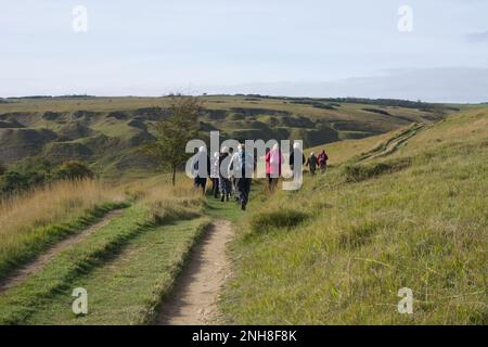 Gruppe von Walkern auf Cleeve Hill in den Cotswolds, Gloucestershire, England, Großbritannien Stockfoto