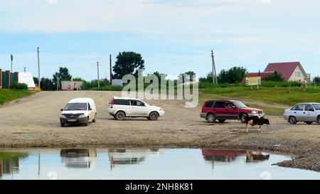 Autos stehen im Sommer in Russland für eine Fähre über einen Fluss in Schlange. Stockfoto