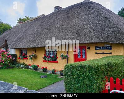 Limerick, Irland - 09 19 2015: Traditionelle und historische Adare-Hütten mit typischem Strohdach und bunten Fassaden. Stockfoto