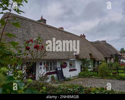 Limerick, Irland - 09 19 2015: Traditionelle und historische Adare-Hütten mit typischem Strohdach und bunten Fassaden. Stockfoto