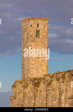 ST. ANDREWS, SCHOTTLAND, EUROPA - St. Rule's Tower, an den Ruinen der St. Andrews Cathedral. Stockfoto