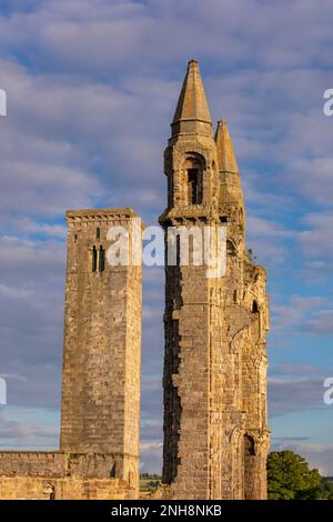 ST. ANDREWS, SCHOTTLAND, EUROPA - Ruinen der St. Andrews Cathedral. St Rule's Tower, links. Stockfoto