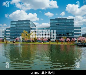 Business Campus Garching in der Nähe von München: Moderne Gebäude und künstlicher See mit japanischen Kirschbäumen Kanzan in voller Blüte im Frühling Stockfoto