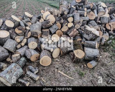 Gruppe von geschnittenem Holz für Feuer Stockfoto