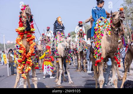 Kamelfestival, Porträt eines jungen Touristen, der während der Parade des Kamelfestivals von bikaner auf einem dekorierten Kamel reitet, mit selektivem Fokus. Stockfoto