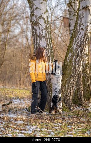 Junge Teenager spielen mit ihrem Hund in der Natur. englischer Setter Stockfoto