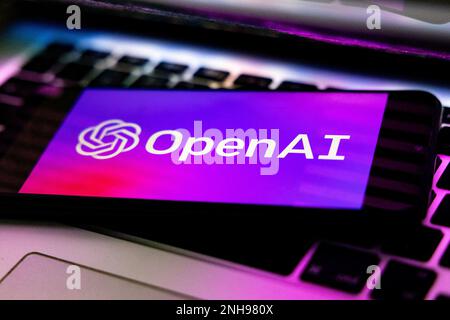 Italien. 21. Februar 2023. Das OpenAI-Logo auf dem Bildschirm eines Mobiltelefons ist in diesem Abbildungsfoto zu sehen, das am 21 2023. Februar in Mailand (Italien) aufgenommen wurde (Foto: Mairo Cinquetti/Sipa USA) Guthaben: SIPA USA/Alamy Live News Stockfoto