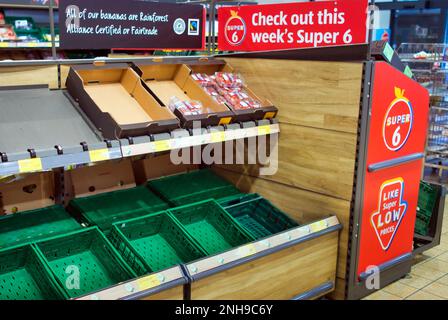 Glasgow, Schottland, Vereinigtes Königreich 21. Februar 2023. Keine Tomaten und keine Eier in Aldi. Die leersten Regale, die ich je gesehen habe. Credit Gerard Ferry/Alamy Live News Stockfoto