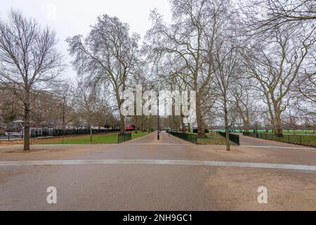 London, Großbritannien - 12. März 2023: Von Bäumen gesäumte Straße im Hyde Park London, Herbstsaison London UK Stockfoto