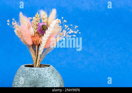 Strauß getrockneter Blumen und Stacheln in Keramikvase auf blauem Hintergrund mit Kopierraum Stockfoto