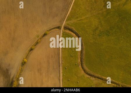 Drohnenfotografie auf Landstraßen durch Ackerland am Sommerabend Stockfoto