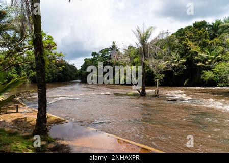 Rio que Flui na floresta. Área rural da cidade de Valencala, Bahia. Stockfoto